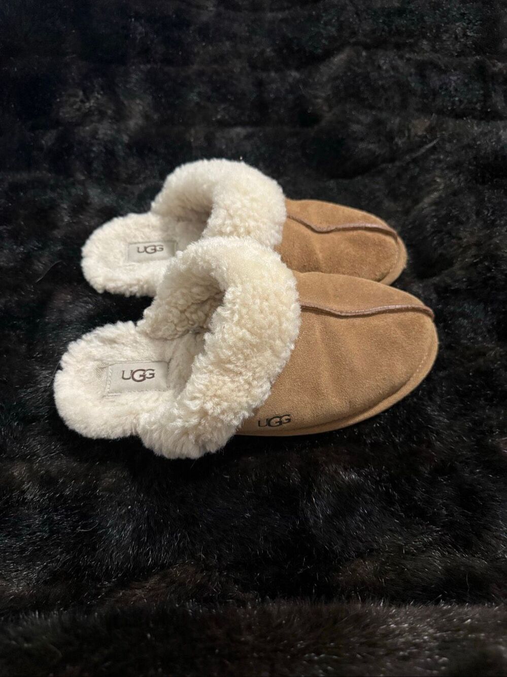 UGG Women's Scuffette II Chestnut UGG Suede Upper Wool Slippers 8
